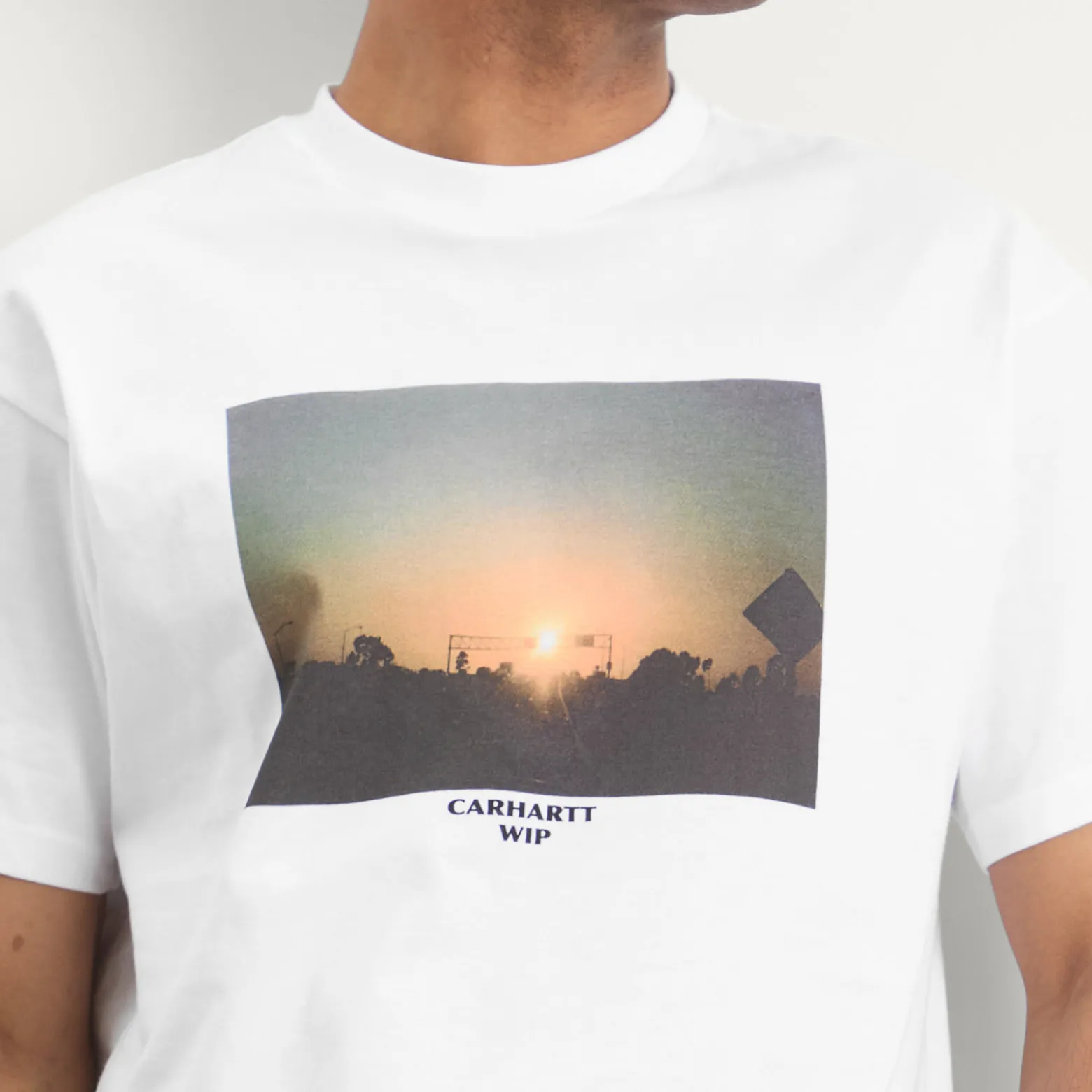 Carhartt WIP Warm Views T-Shirt