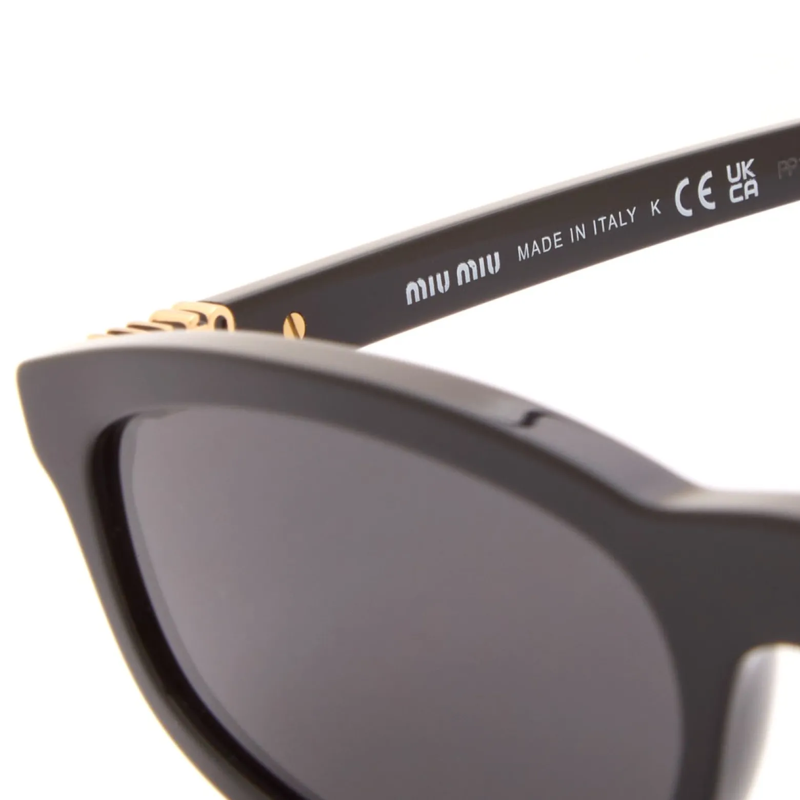 Miu Miu Eyewear A06S Regard Sunglasses