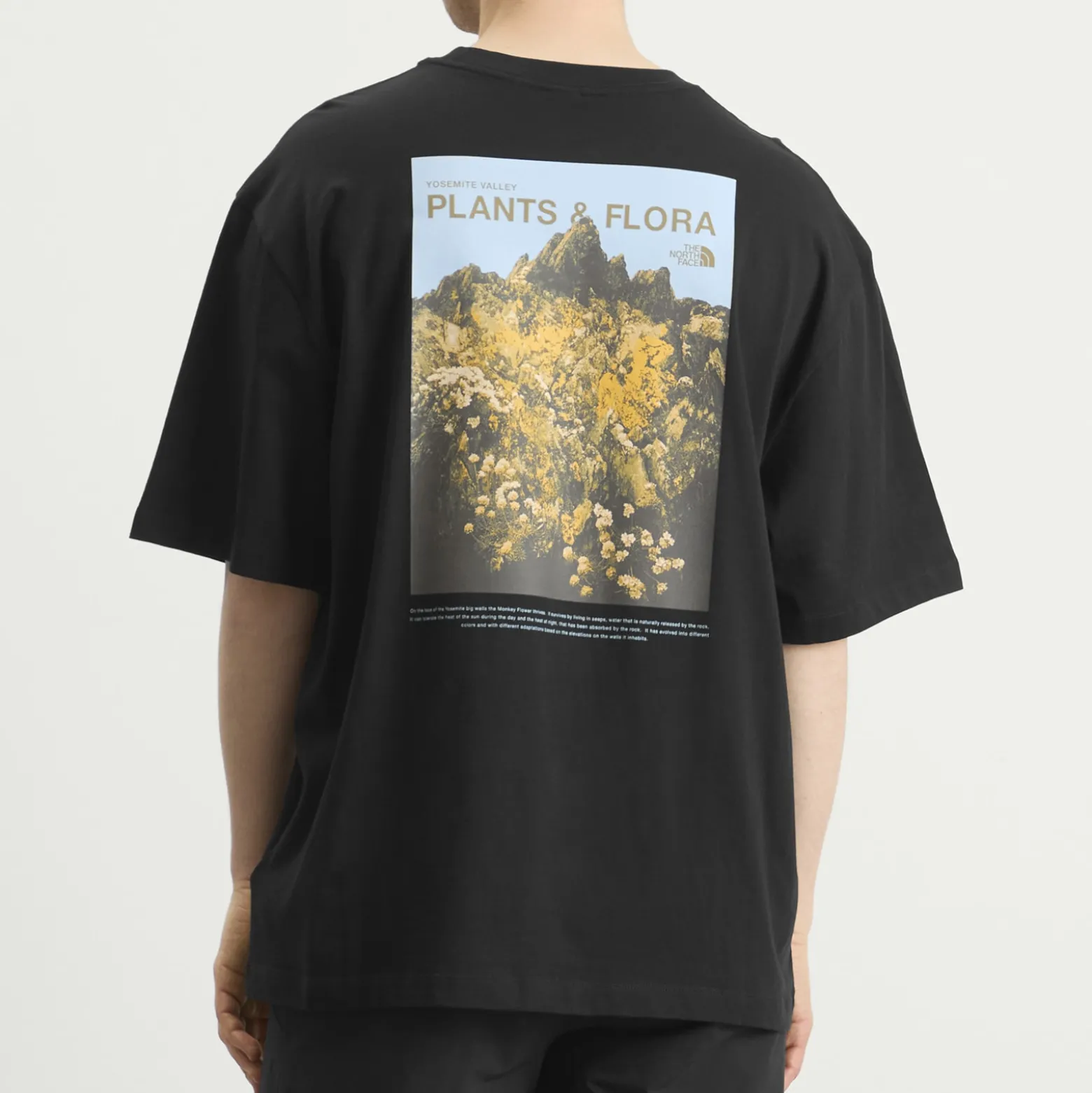 The North Face Plant & Flora Oversized T-Shirt